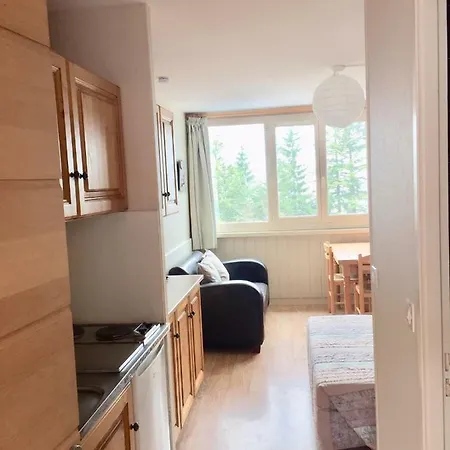 Apartamento Resid Bec De L Aigle 22 - Le Lioran *